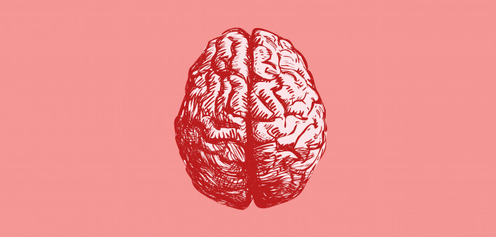 Brain