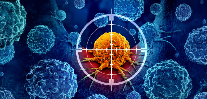 target and cancer cells