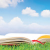open book grass blue sky