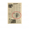 Bay Area Reporter 1982 gay men’s pneumonia.