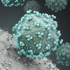 HIV virus attacking cell. 3D reder.