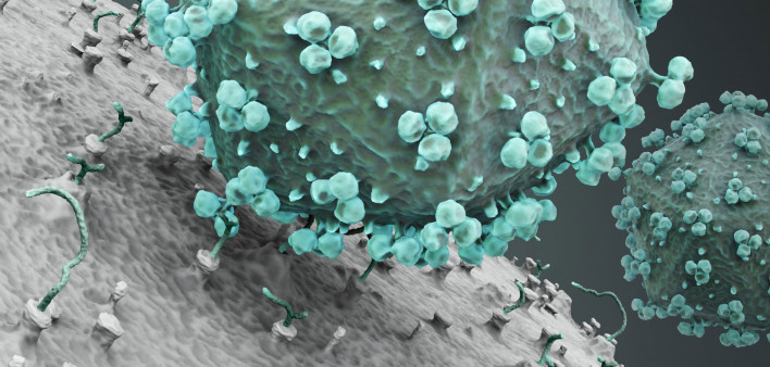HIV virus attacking cell. 3D reder.