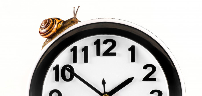 Time lapse concept - snail and clock