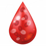 illustration blood drop blood cells