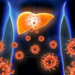 liver, virus, hepatitis B, hepatitis C Hepatitis 3d rendering illustration