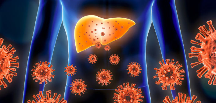 liver, virus, hepatitis B, hepatitis C Hepatitis 3d rendering illustration