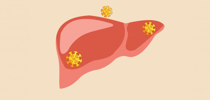 illustration of liver with virus particles