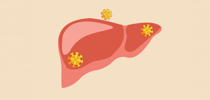 illustration of liver with virus particles