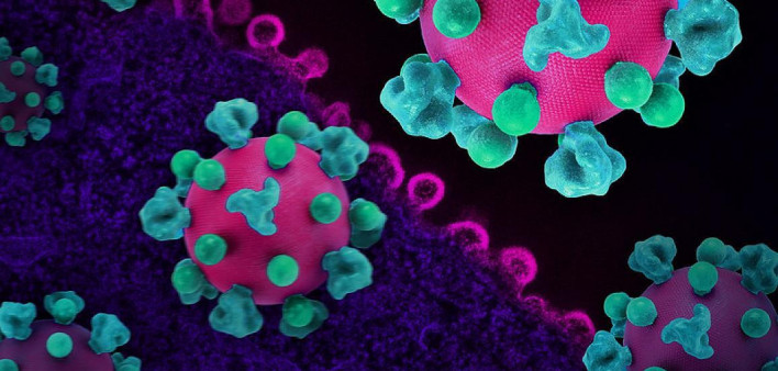 Layout featuring colorized 3D prints of HIV virus particles (pink with teal surface proteins) and a background image that is a colorized transmission electron micrograph of HIV virus particles (pink) budding and replicating from an H9 T cell (purple). Mic