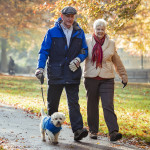 Senior couple are walking their dog through a public park in Autumn.