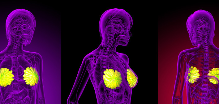 3D rendering of the breast