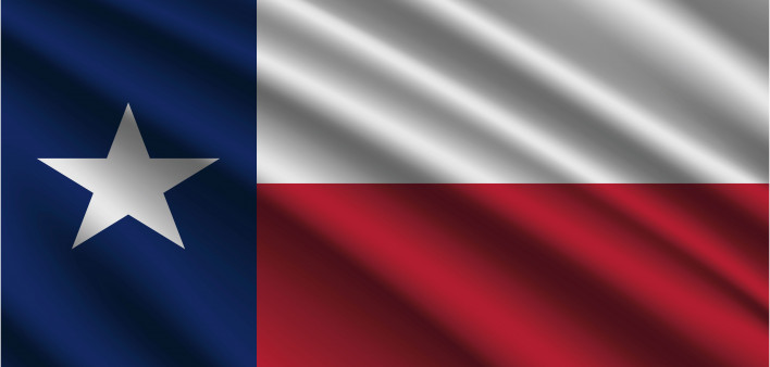 Texas Flag