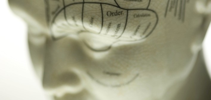 Phrenology Head
