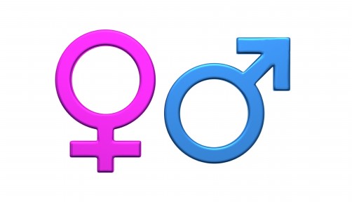 male and female gender symbols