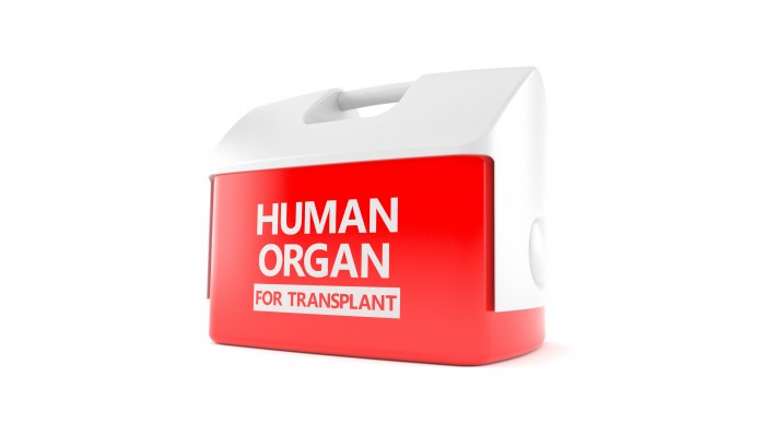 Red Cooler "Human Organ for Transplant"