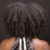 the back of an African American woman's head showing her curly afro and bare shoulders