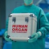 man carrying human organ in box