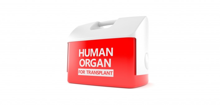 Red Cooler "Human Organ for Transplant"
