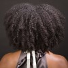 the back of an African American woman's head showing her curly afro and bare shoulders