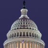 The U.S. Capitol at night