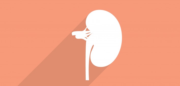 kidney