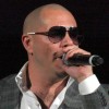Pitbull