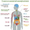 13 cancers are associated with being overweight or obesity 