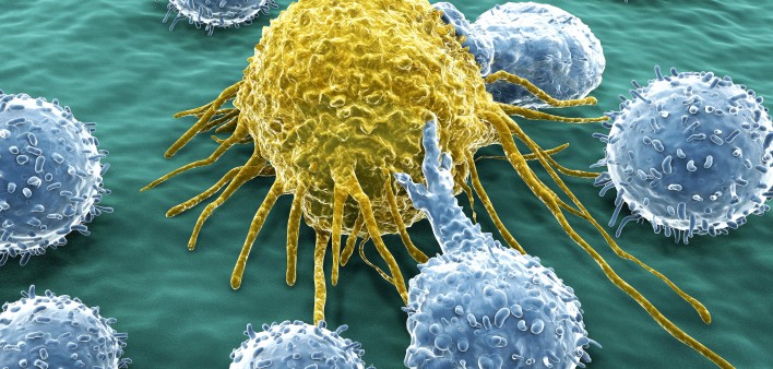 Lymphocytes attacking a cancer cell