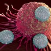 T cells attacking cancer cell