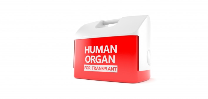 Red Cooler "Human Organ for Transplant"