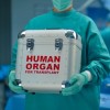 man carrying human organ in box