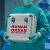 man carrying human organ in box
