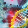 Cancer treatment
