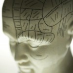 Phrenology Head