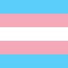 The transgender flag