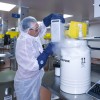 A patient’s T cells arrive at the Novartis manufacturing facility in Morris Plains, where they will be re-engineered to recognize and fight cancer and healthy cells expressing a specific antigen in the patient’s body.