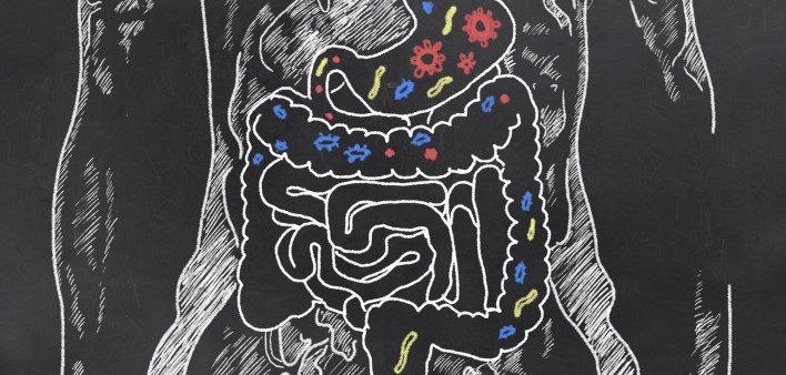 gut-bacteria