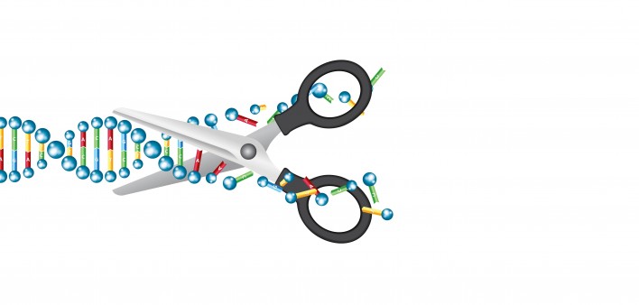 illustration of scissors cutting DNA 