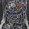 Gut bacteria