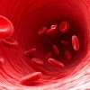 Red blood cells