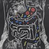 Gut bacteria