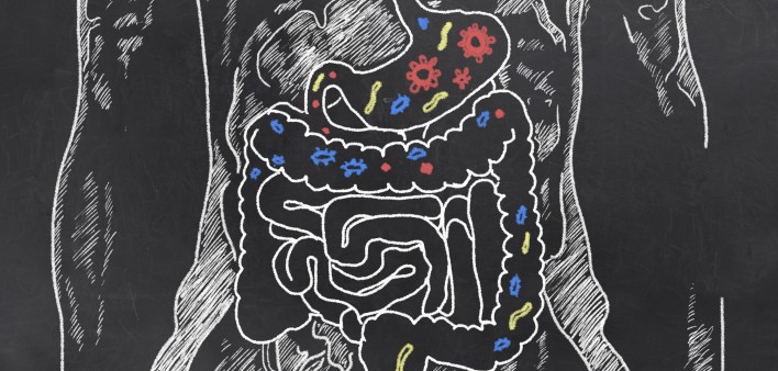 gut-bacteria