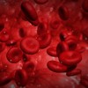 Red blood cells
