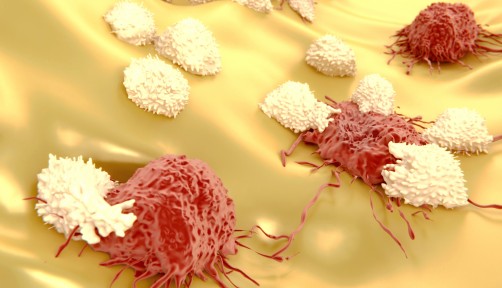 Lymphocytes attacking cancer cells 