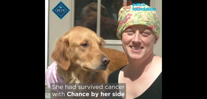 PetcoFoundation Chance - Pet Cancer Survivor