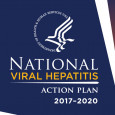 National Viral Hepatitis Action Plan