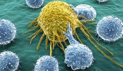 Lymphocytes attacking a cancer cell
