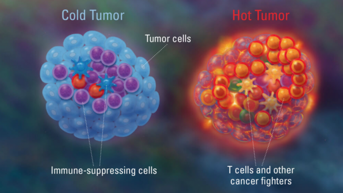 cold tumor, hot tumor, Dana-Farber