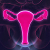 Female reproductive system