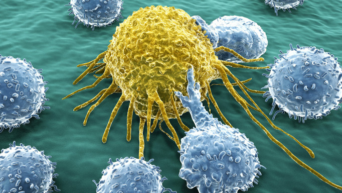 Lymphocytes attacking a cancer cell